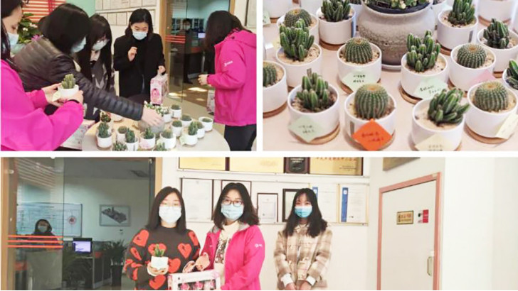三八婦女節(jié)，向閃閃發(fā)光的環(huán)保女神們致敬